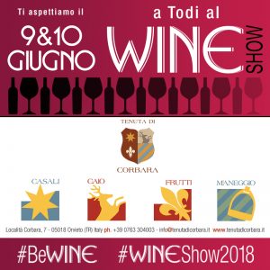 Wine Show a Todi – 9/10 giugno