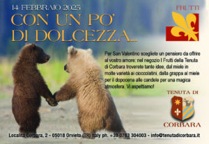 L'immagine mostra due orsacchiotti, uno più bruno uno più chiaro, che sembrano tenersi per mano. The picture shows two teddy bears, one brown and one hazel, holding hands.
