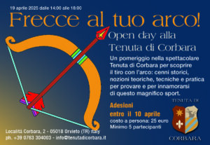Su uno sfondo blu scuro, appare il disegno di un arco con la corda tesa da una freccia. La punta della freccia indica il titolo Frecce al tuo arco!