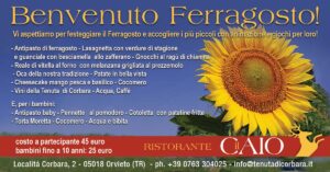 La foto di sfondo è un primo piamo di un grande girasole che si erge in un campo verde e si staglia su un cielo azzurrissimo. Il titolo è Benvenuto Ferragosto! e nel testo sono riportati i due menù proposti dal ristorante il Caio della Tenuta di Corbara, che firma con il proprio stemma e i recapiti al piede della pagina.
